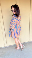 Brown/ Blue Ribbon Striped Dress